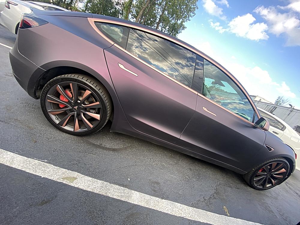 2020 Tesla Model 3