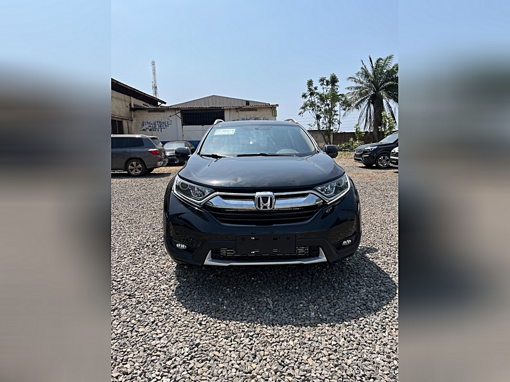 2019 Honda CR-V EX-L's photo