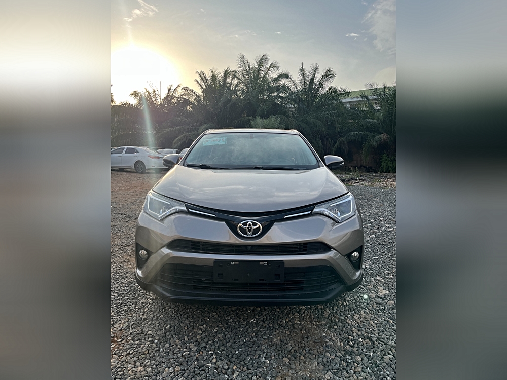 2017 Toyota RAV4 XLE's photo