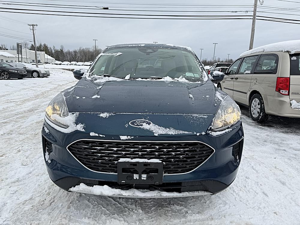 2020 Ford Escape SE's photo