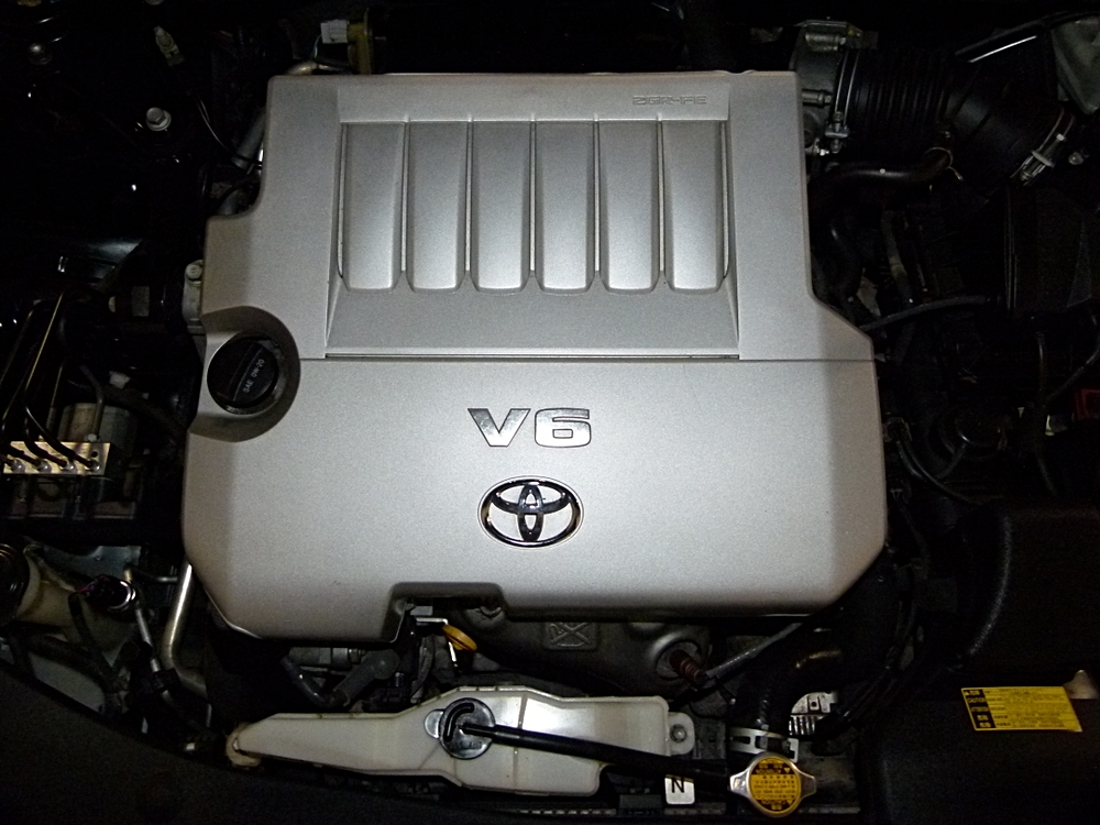 View 25