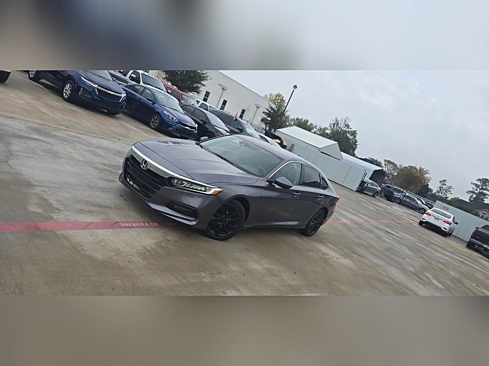 2019 Honda Accord LX's photo
