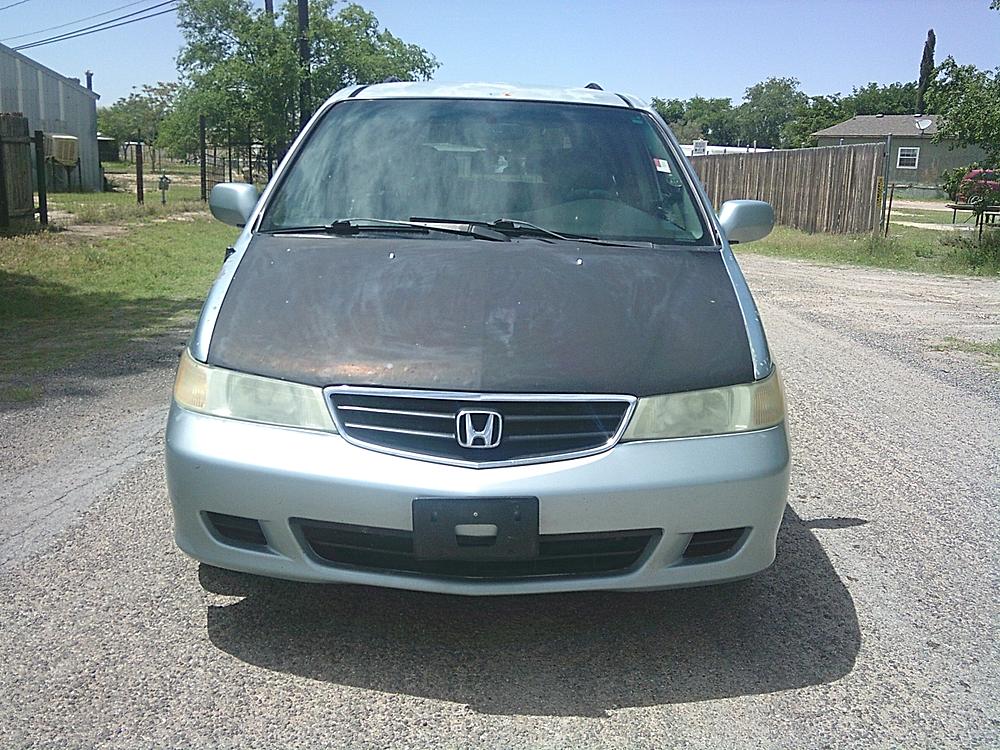 2004 Honda Odyssey EX-L's photo