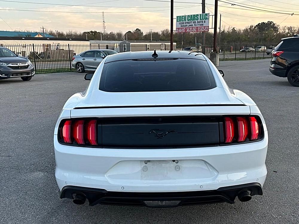 2023 Ford Mustang EcoBoost's photo