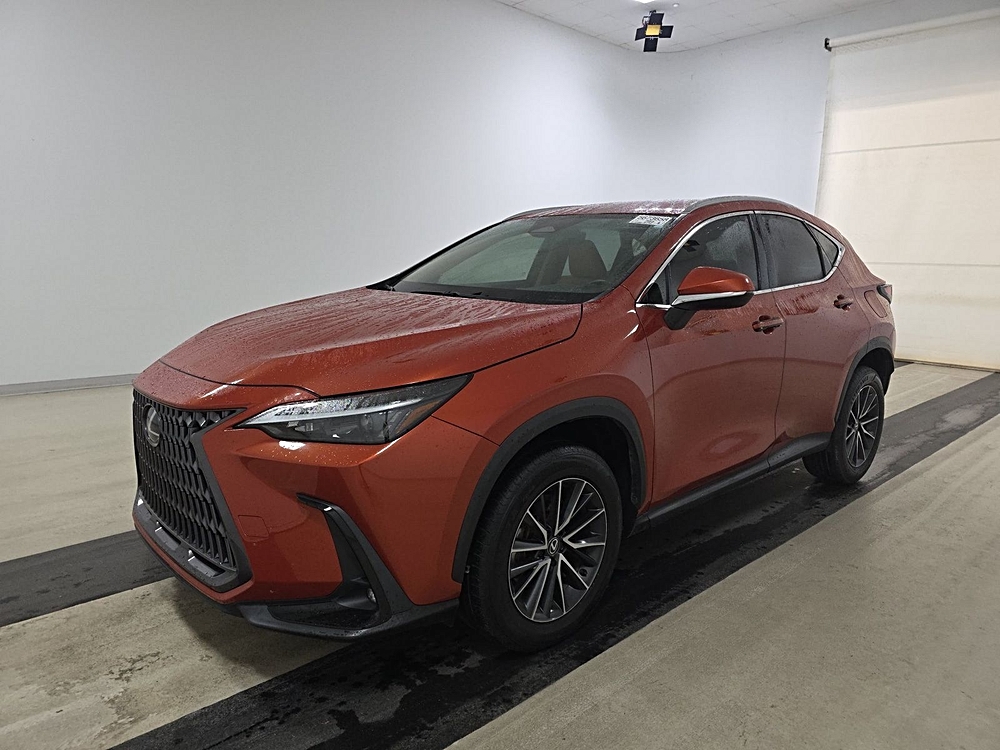 2024 Lexus NX