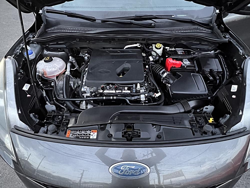 2020 Ford Escape SE - Photo 20