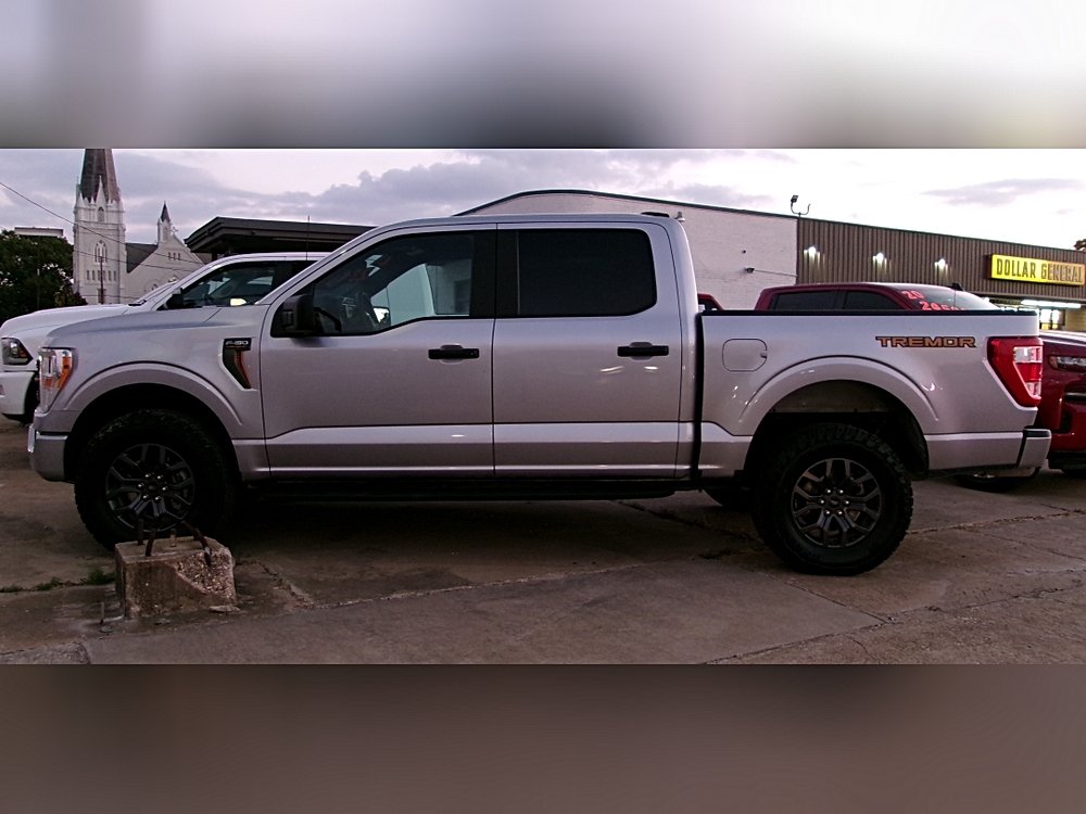 2021 Ford F-150 Tremor's photo
