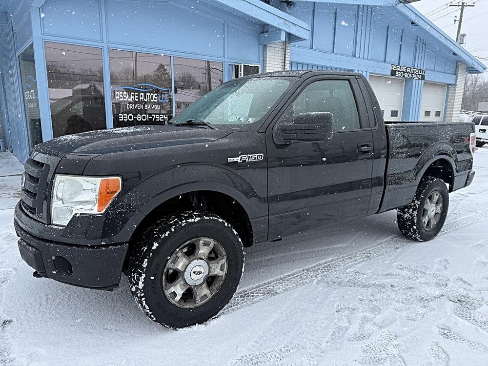 2010 Ford F-150 XL's photo
