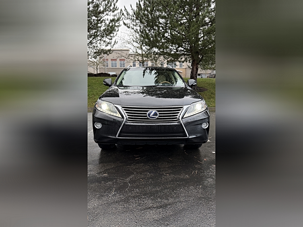 2015 Lexus RX Base's photo