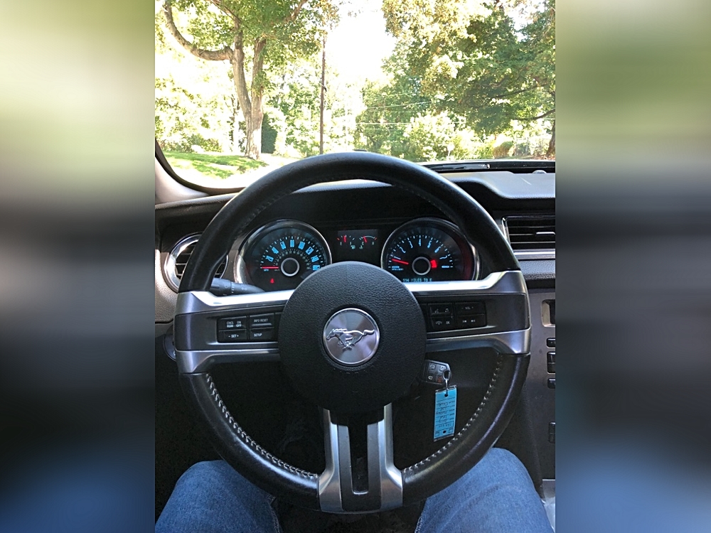 View 9