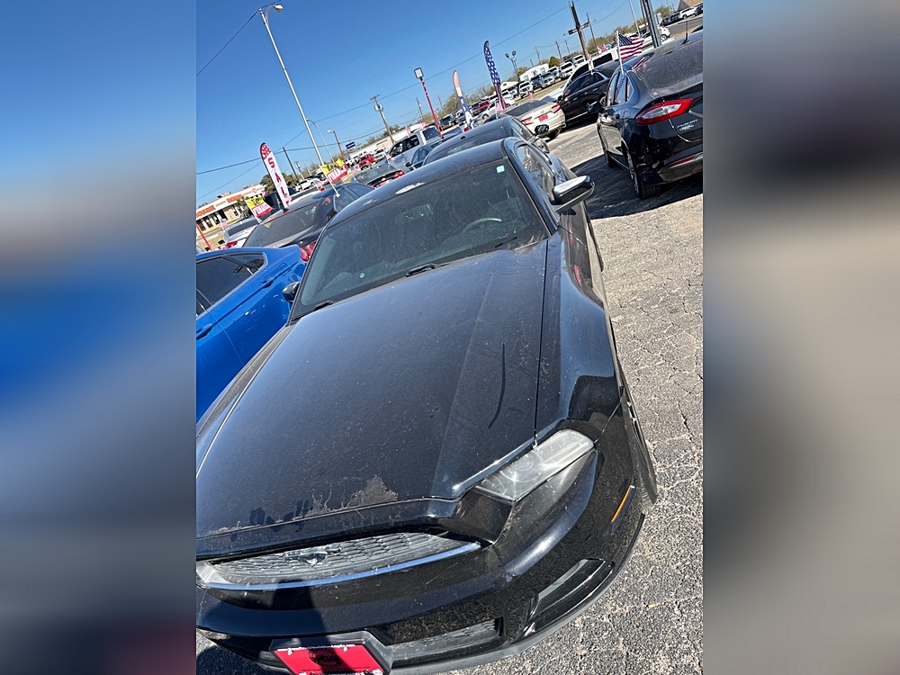 2014 Ford Mustang's photo