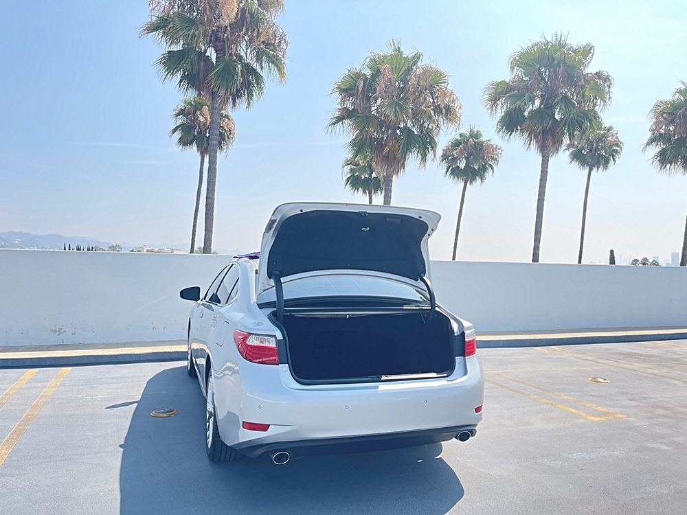 View 85