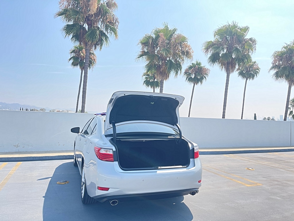 View 86