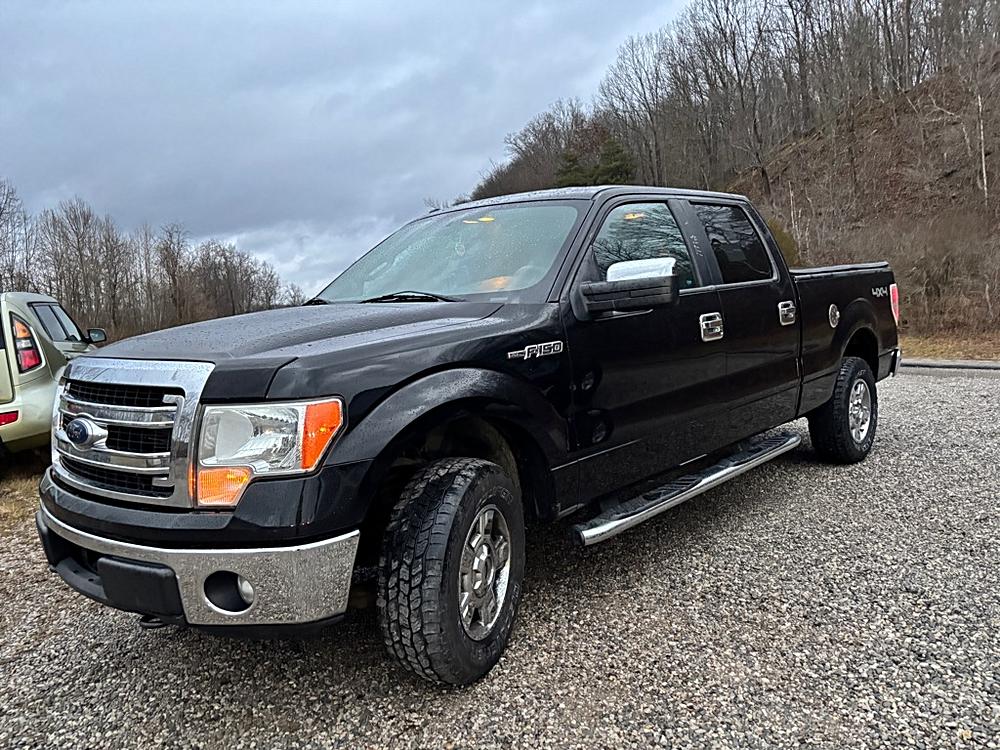2014 Ford F-150 XLT's photo