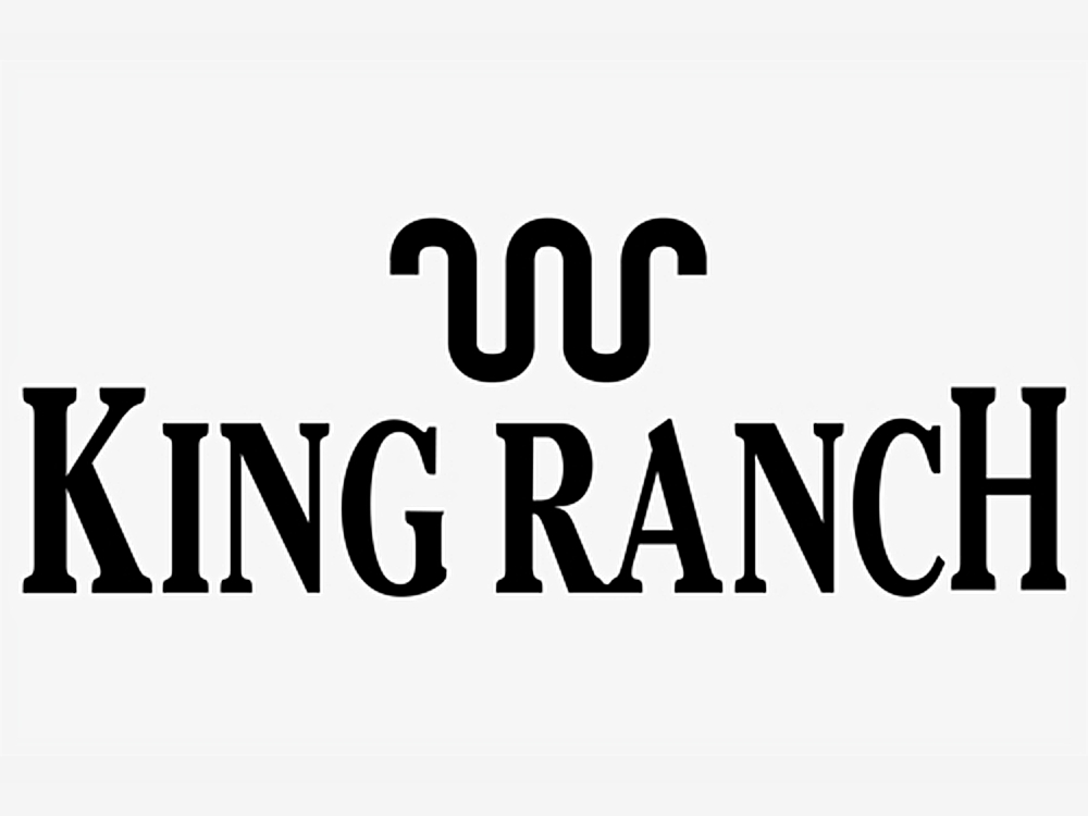 2019 Ford F-150 King Ranch's photo