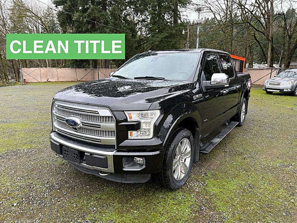 2015 Ford F-150 Platinum's photo