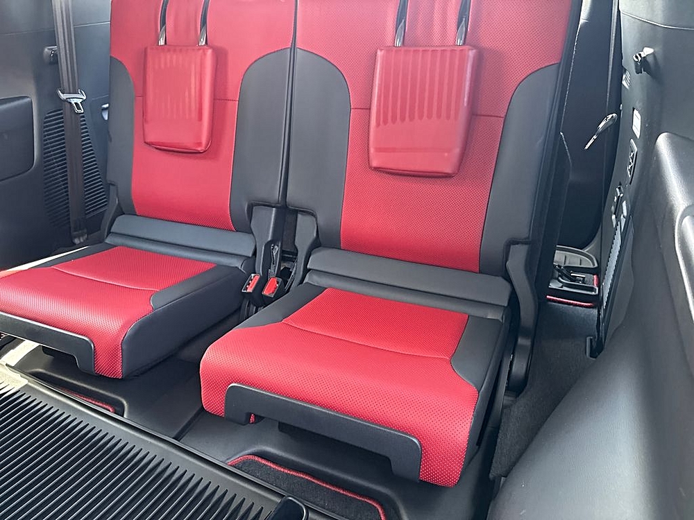2024 Lexus LX 19