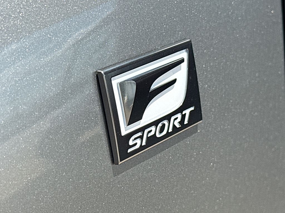 2024 Lexus LX 6