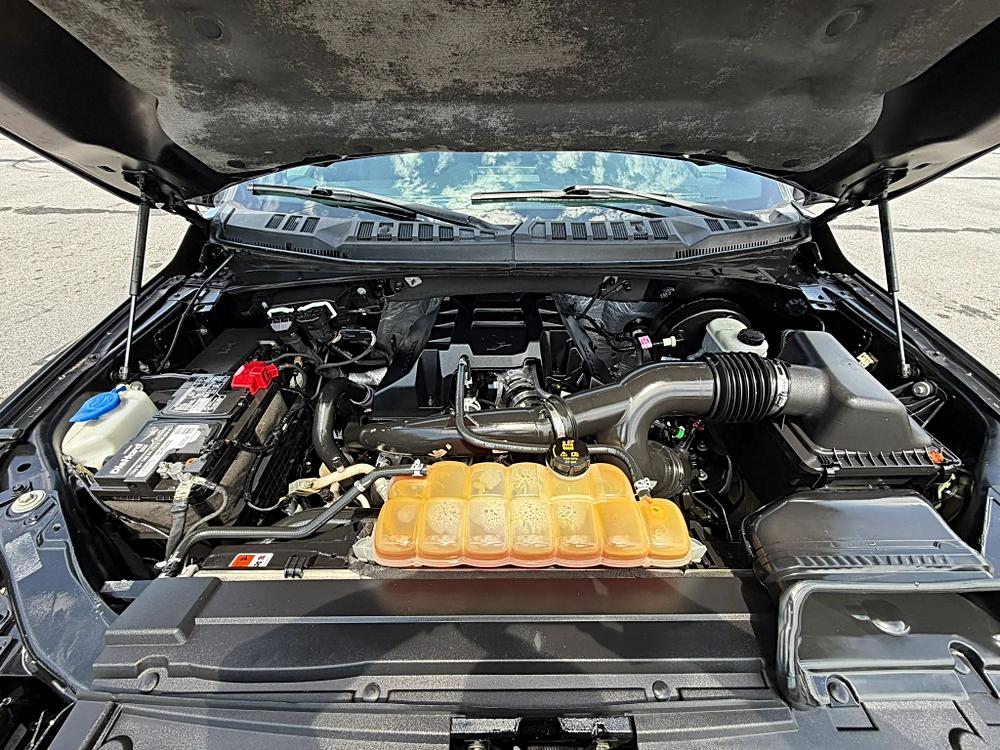 Ford F150 SuperCrew Cab photo 190