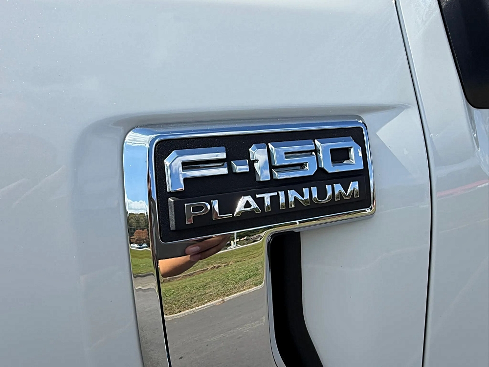 Ford F-150 photo 118