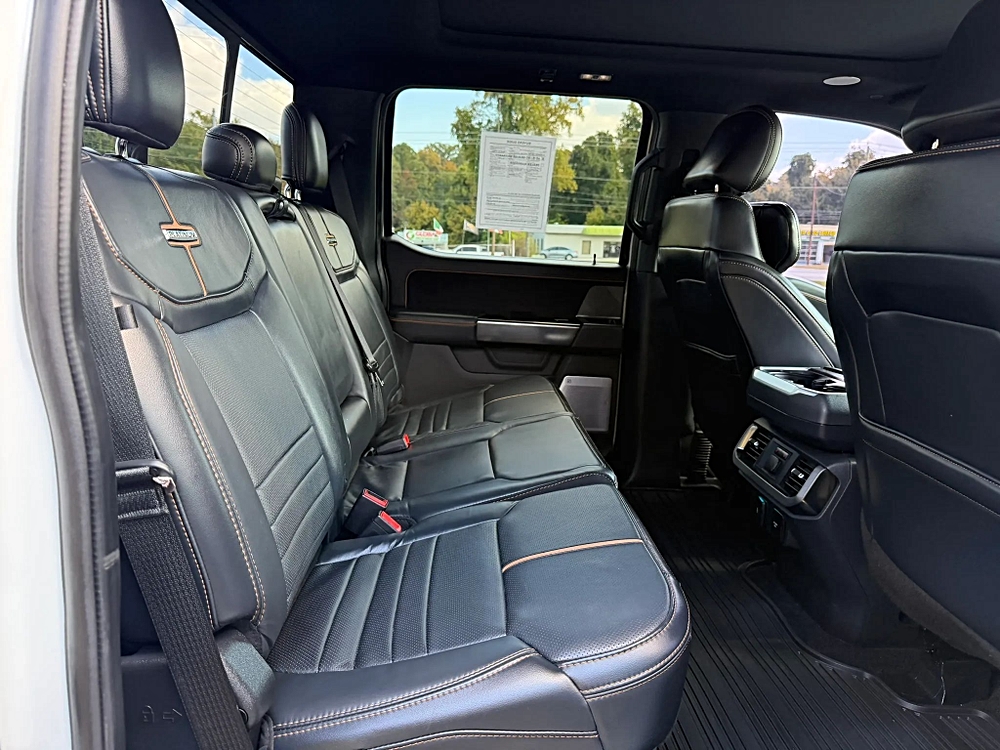 Ford F-150 photo 153