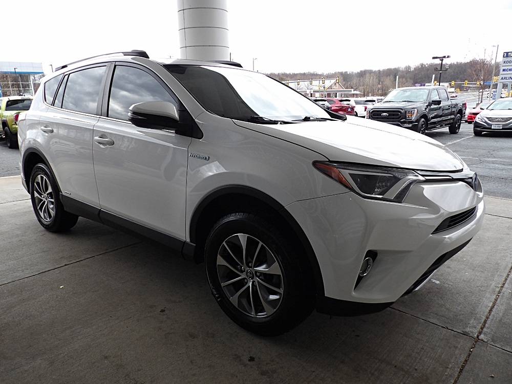 2018 Toyota RAV4 XLE's photo