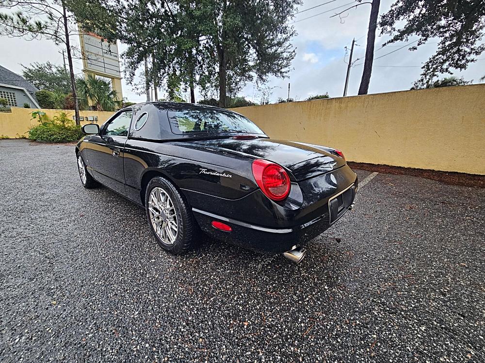 More Photos