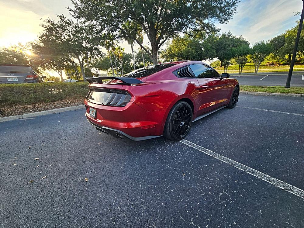 More Photos