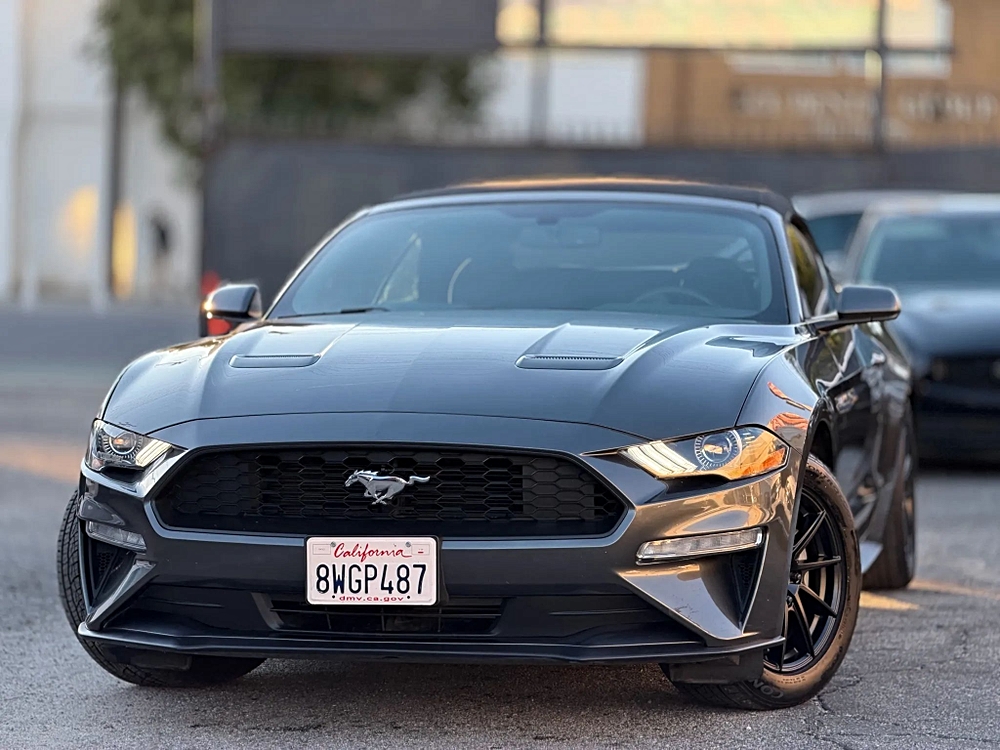 2019 Ford Mustang EcoBoost