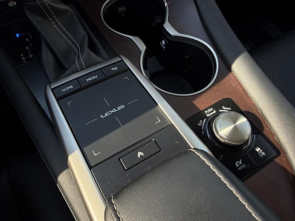 2022 Lexus RX Hybrid 450h - Photo 19