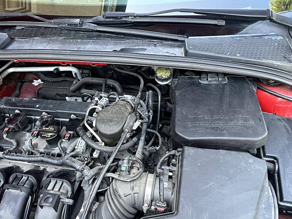 2014 Ford Focus SE - Photo 13
