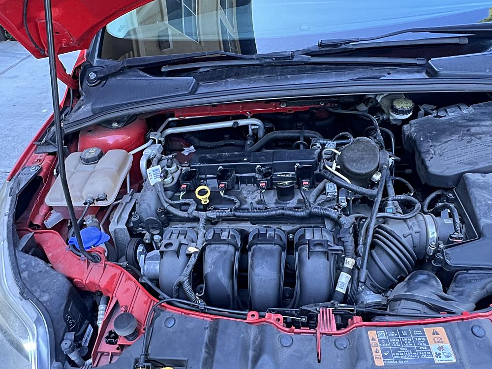 2014 Ford Focus SE - Photo 11