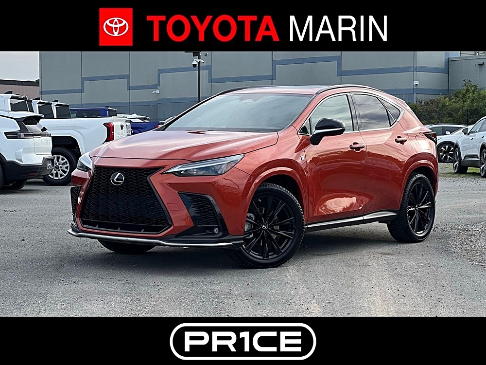 2022 Lexus NX 350's photo