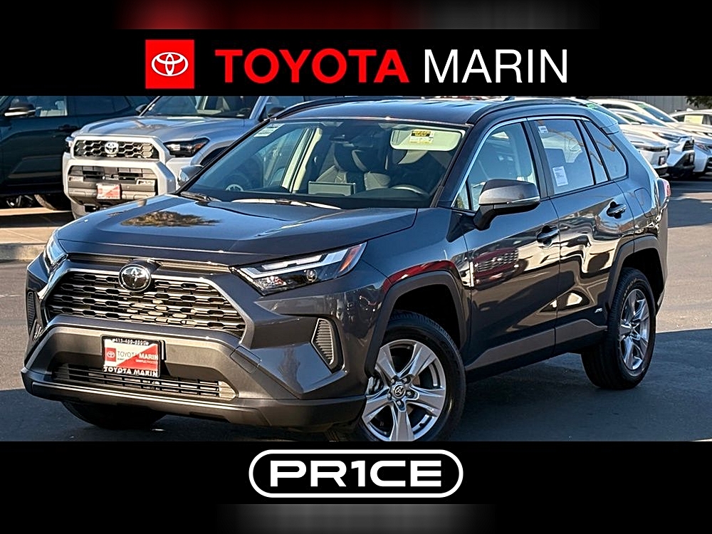 2025 Toyota RAV4 XLE's photo