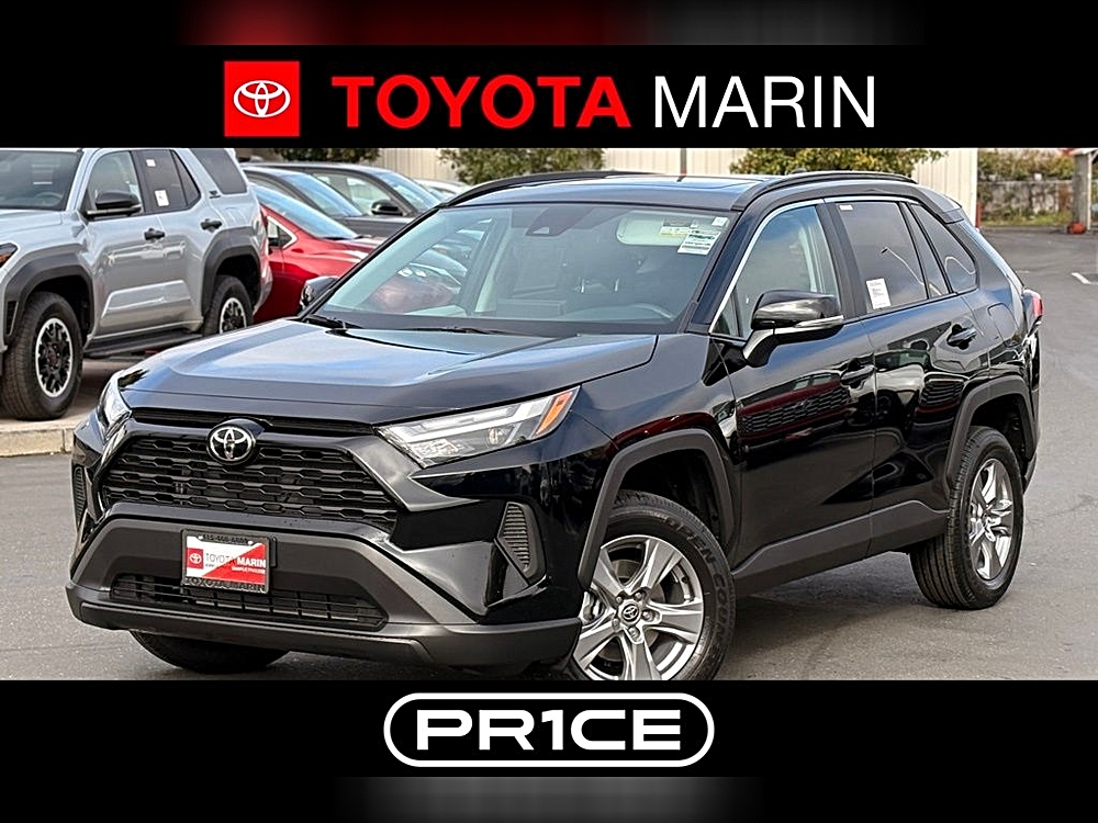 2025 Toyota RAV4 XLE's photo