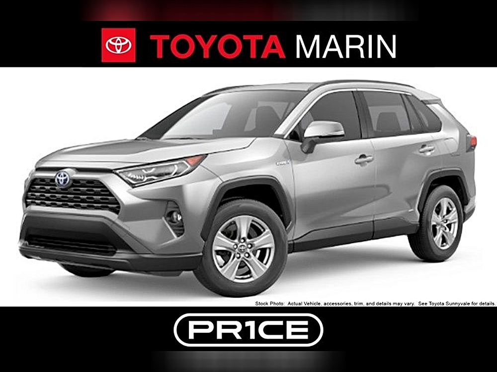 2025 Toyota RAV4 XLE's photo