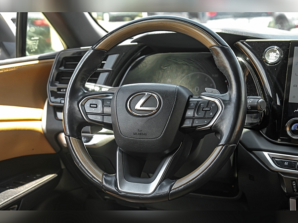 2023 Lexus RX 350 - Photo 18