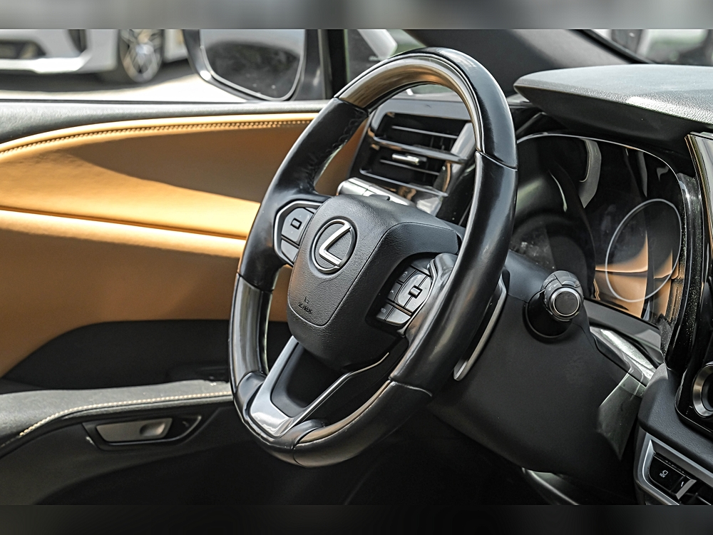 2023 Lexus RX 350 - Photo 17