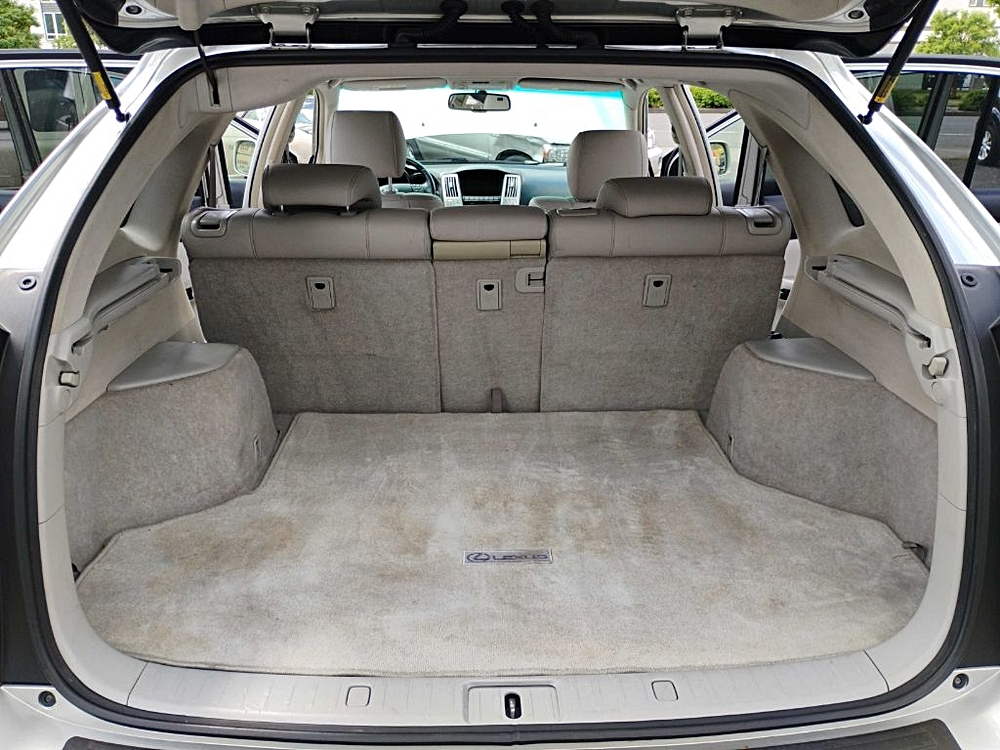 2008 LEXUS RX