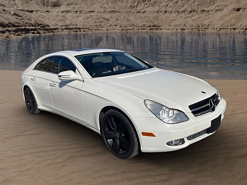 2010 Mercedes-Benz CLS-Class CLS550