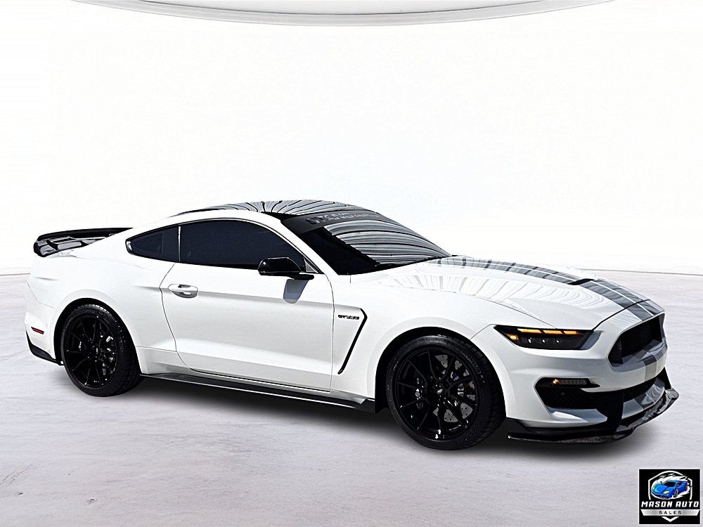 2019 Ford Mustang Shelby GT350's photo