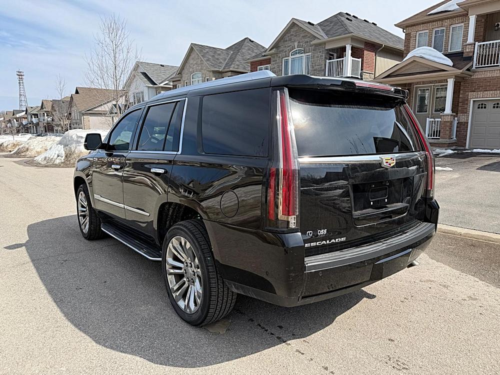 2019 Cadillac Escalade Luxury 4WD
