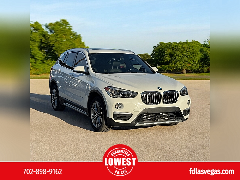 2017 BMW X1 28i's photo