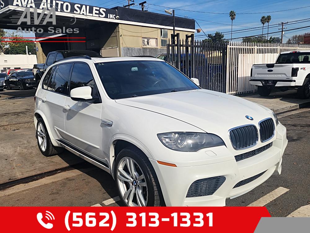 2010 BMW X5 M's photo